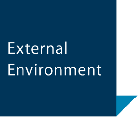 External Environment